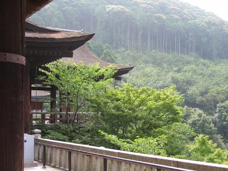 清水寺，遠遠望去都是大片的林木.JPG