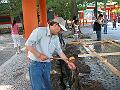 IMG_4249