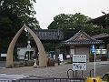 IMG_4311