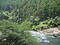 現在是夏天，一片綠油油的