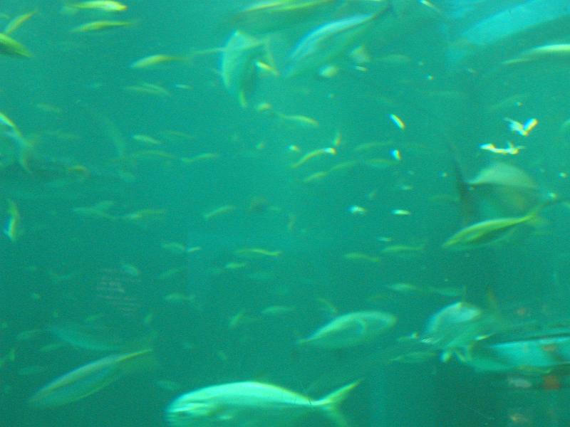 IMG_4465.JPG