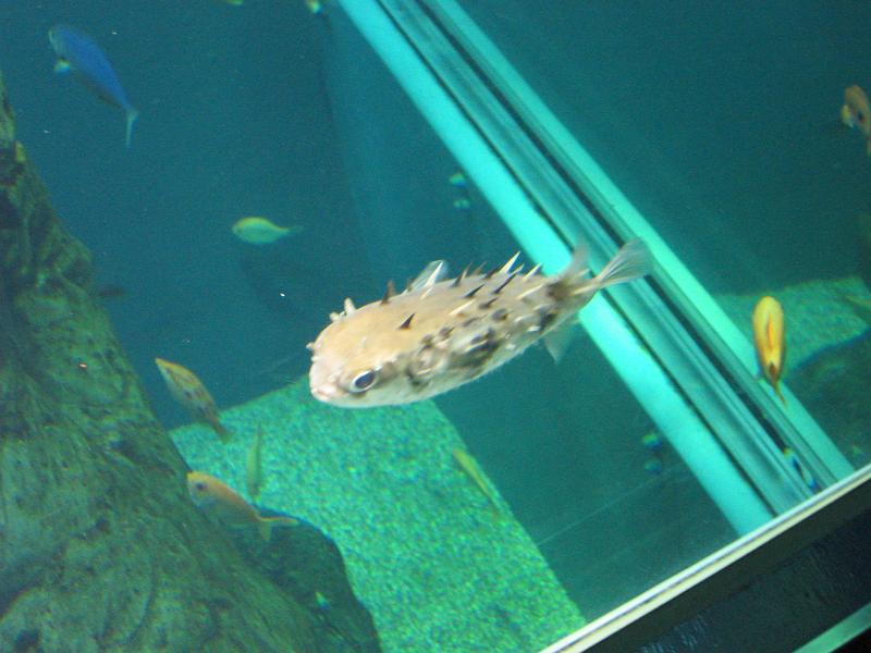 IMG_4471.JPG
