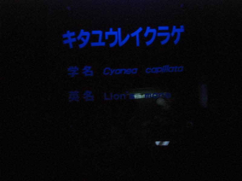 IMG_4485.JPG