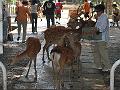 IMG_4341