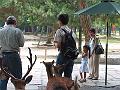 IMG_4347