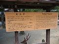 IMG_4369