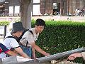 IMG_4382