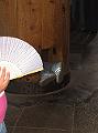 IMG_4404