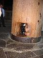 IMG_4411