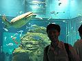 IMG_4473