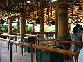 IMG_4589