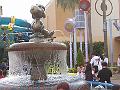 IMG_4610