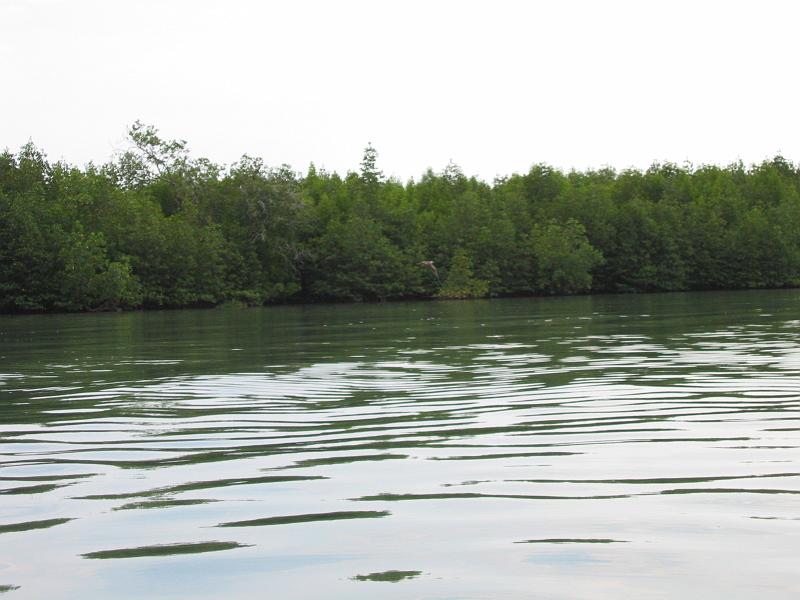 104-0468_IMG.JPG