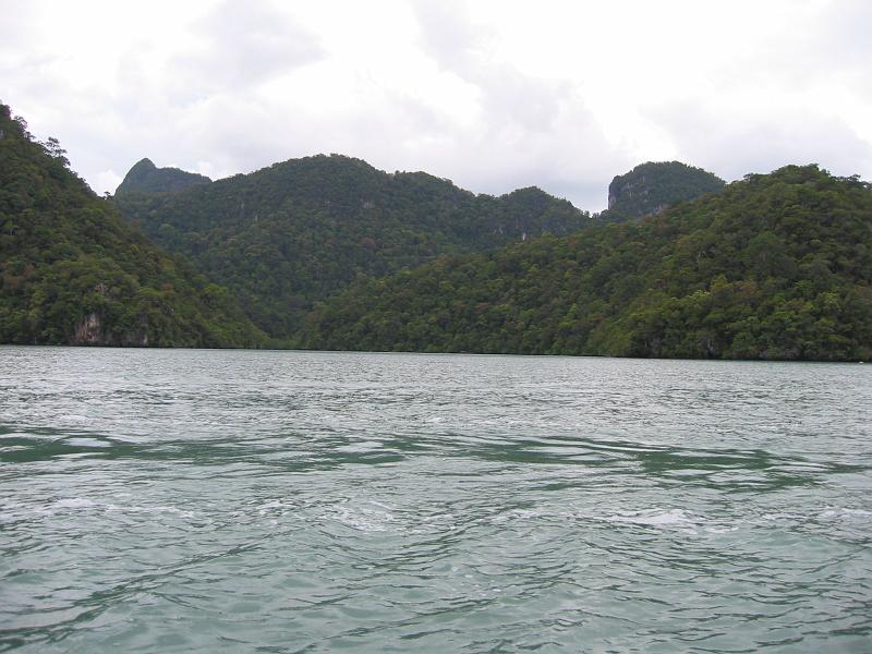 104-0490_IMG.JPG