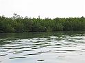 104-0468_IMG